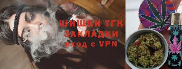 гашик Алексеевка