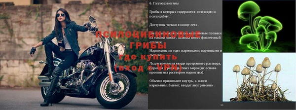 apvp Абдулино